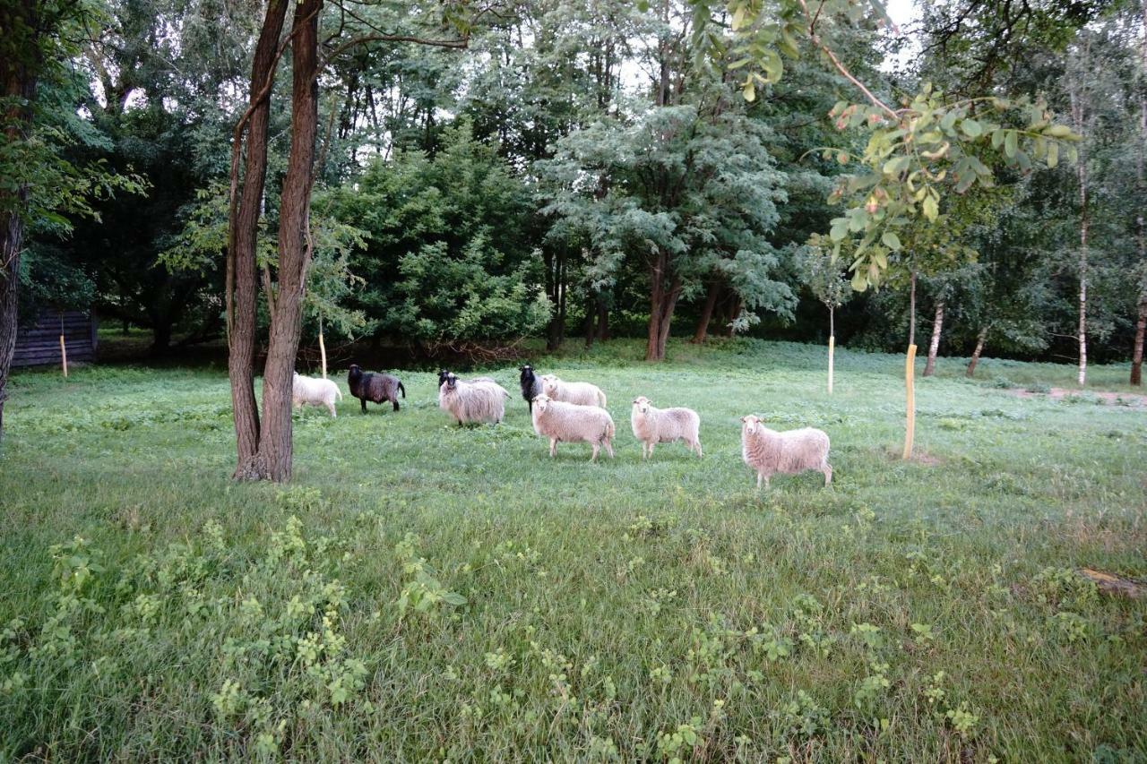 Ferien In Himmelpfort Zewnętrze zdjęcie